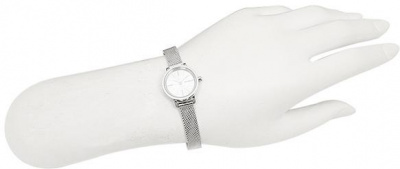 Skagen SKW2379