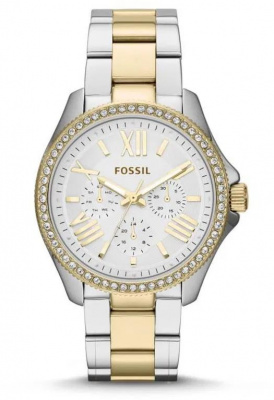 Fossil AM4543