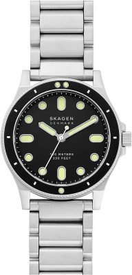 Skagen SKW6666