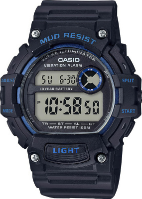 Casio TRT-110H-2A