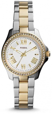 Fossil AM4579