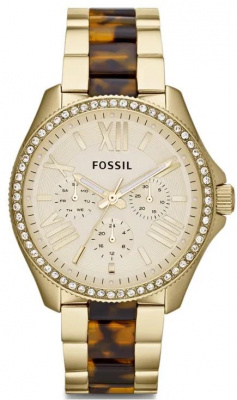 Fossil AM4499