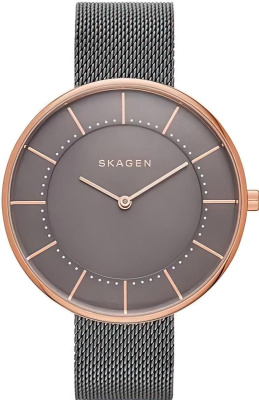 Skagen SKW2584