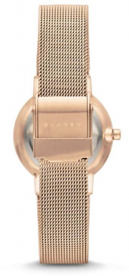 Skagen SKW2197