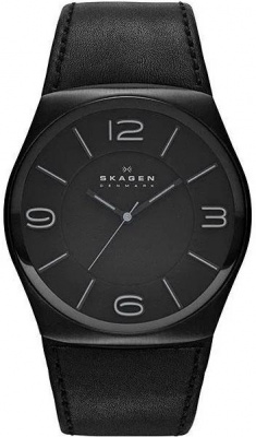 Skagen SKW6043