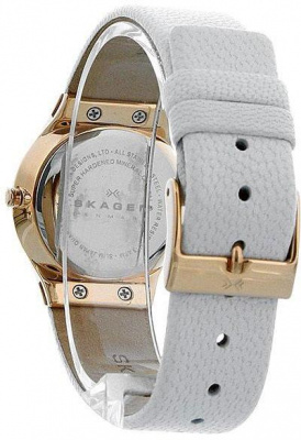 Skagen SKW2027