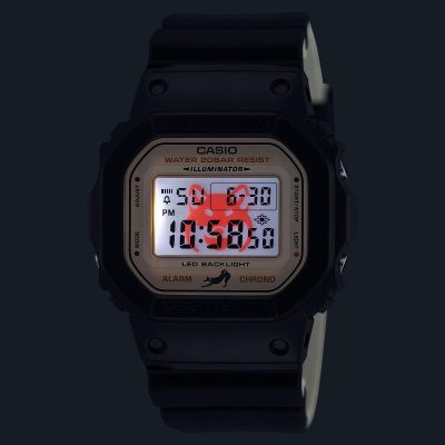 Casio DW-5600SHB-1E