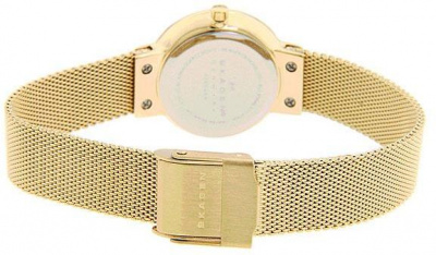 Skagen 456SGSG