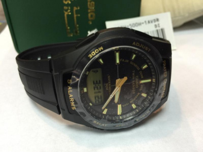 Casio CPW-500H-1A