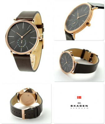 Skagen SKW6213