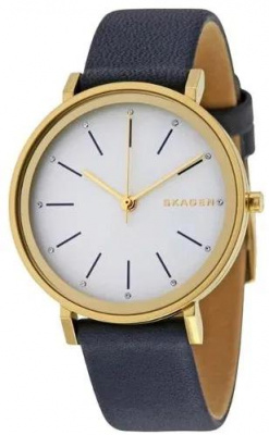 Skagen SKW2510