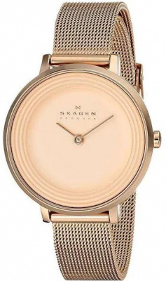 Skagen SKW2213