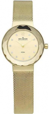 Skagen 456SGSG