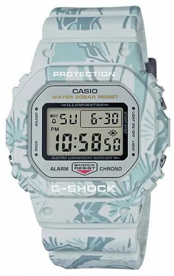 Casio DW-5600SLG-7E