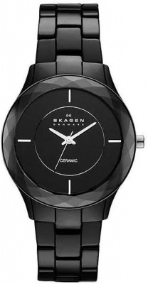 Skagen SKW2067