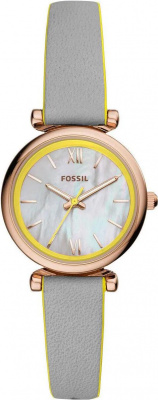 Fossil ES4834