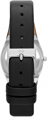 Skagen SKW2119