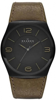 Skagen SKW6042