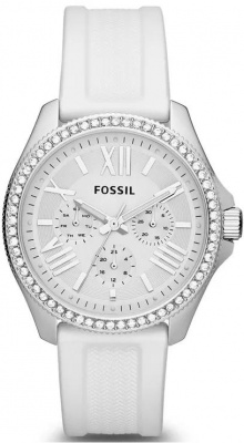 Fossil AM4487