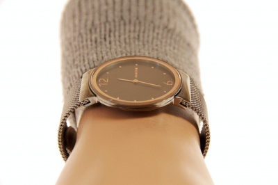 Skagen SKW2382