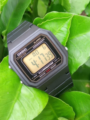 Casio W-217H-9A