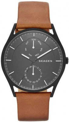 Skagen SKW6347