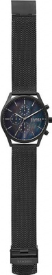 Skagen SKW6651