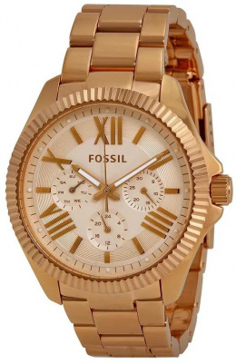 Fossil AM4569