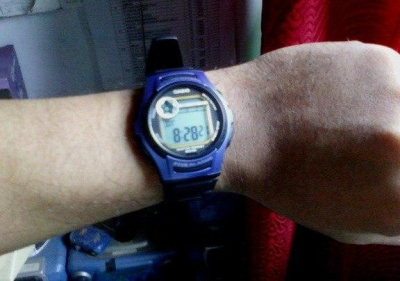 Casio W-213-2A