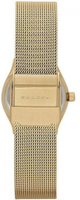 Skagen SKW2045