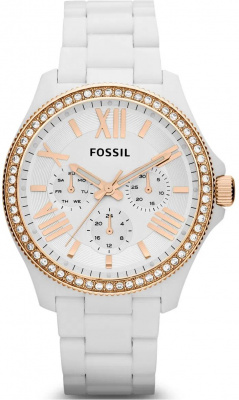 Fossil AM4492