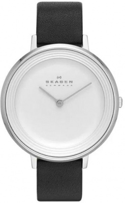 Skagen SKW2261