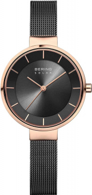 Bering 14631-166