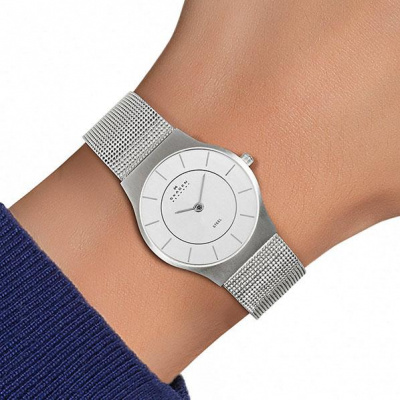 Skagen 233SSS