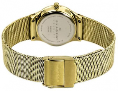 Skagen SKW2040