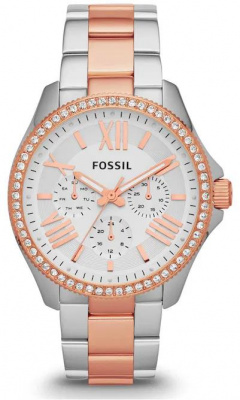 Fossil AM4496