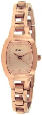 Fossil BQ1069