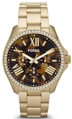 Fossil AM4498
