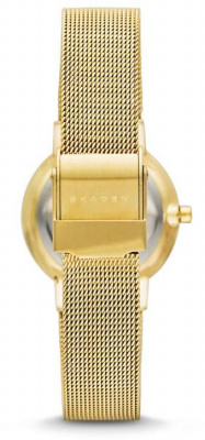 Skagen SKW2196