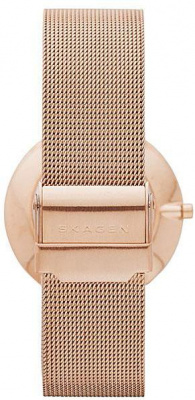 Skagen SKW2130