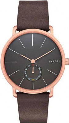 Skagen SKW6213