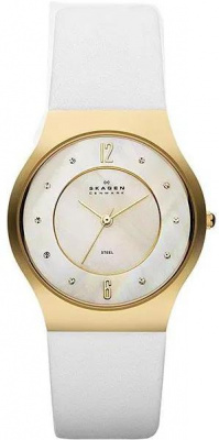 Skagen SKW2027