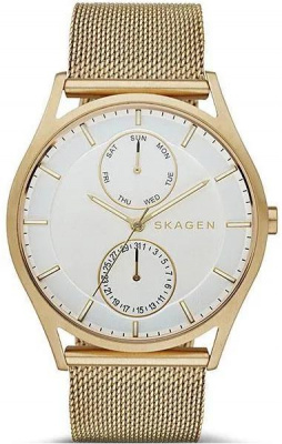 Skagen SKW6173