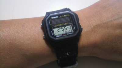 Casio AL-190W-1A