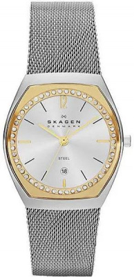 Skagen SKW2050