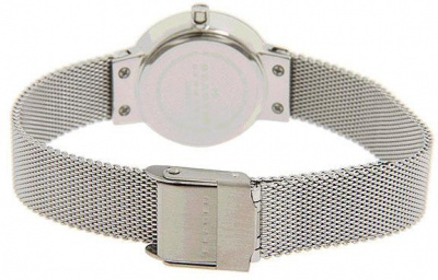 Skagen 456SSS