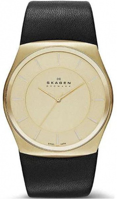 Skagen SKW6018