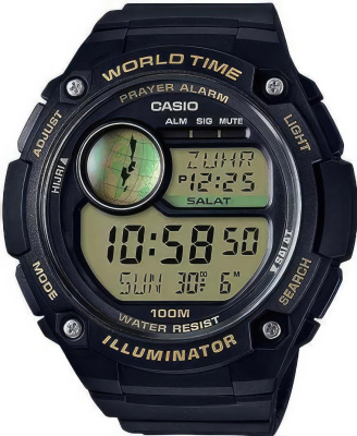 Casio CPA-100-9A